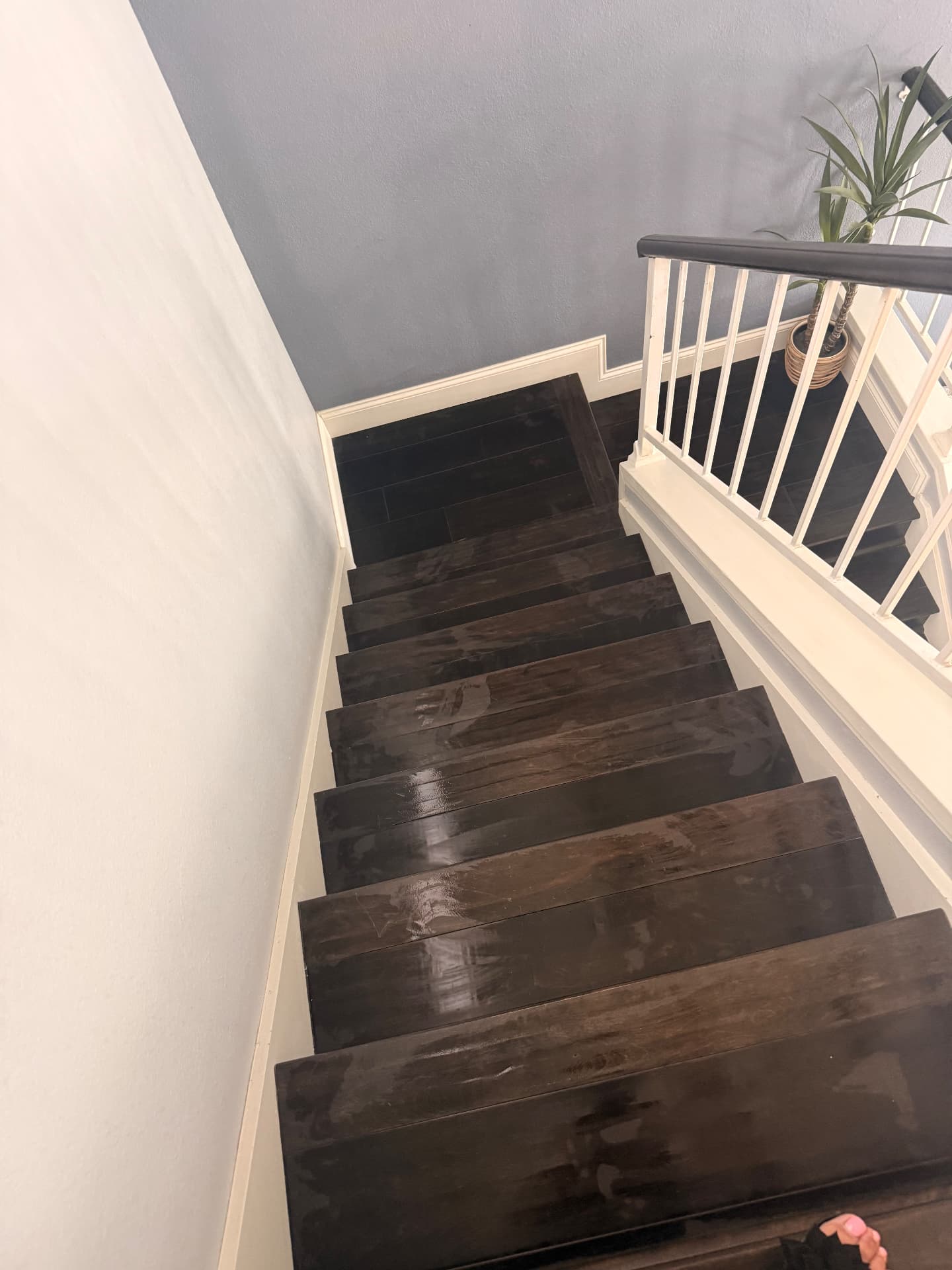 Freshly cleaned dark hardwood staircase and railing after a Lustre Haus deep clean in Phoenix