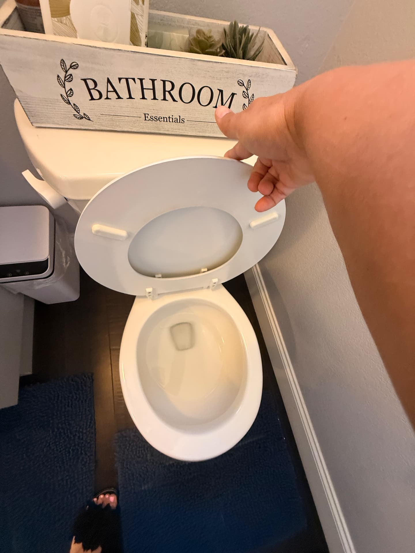 Disinfected toilet and tidy powder room detail during a Lustre Haus clean in Tempe